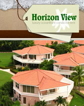 Horizon View